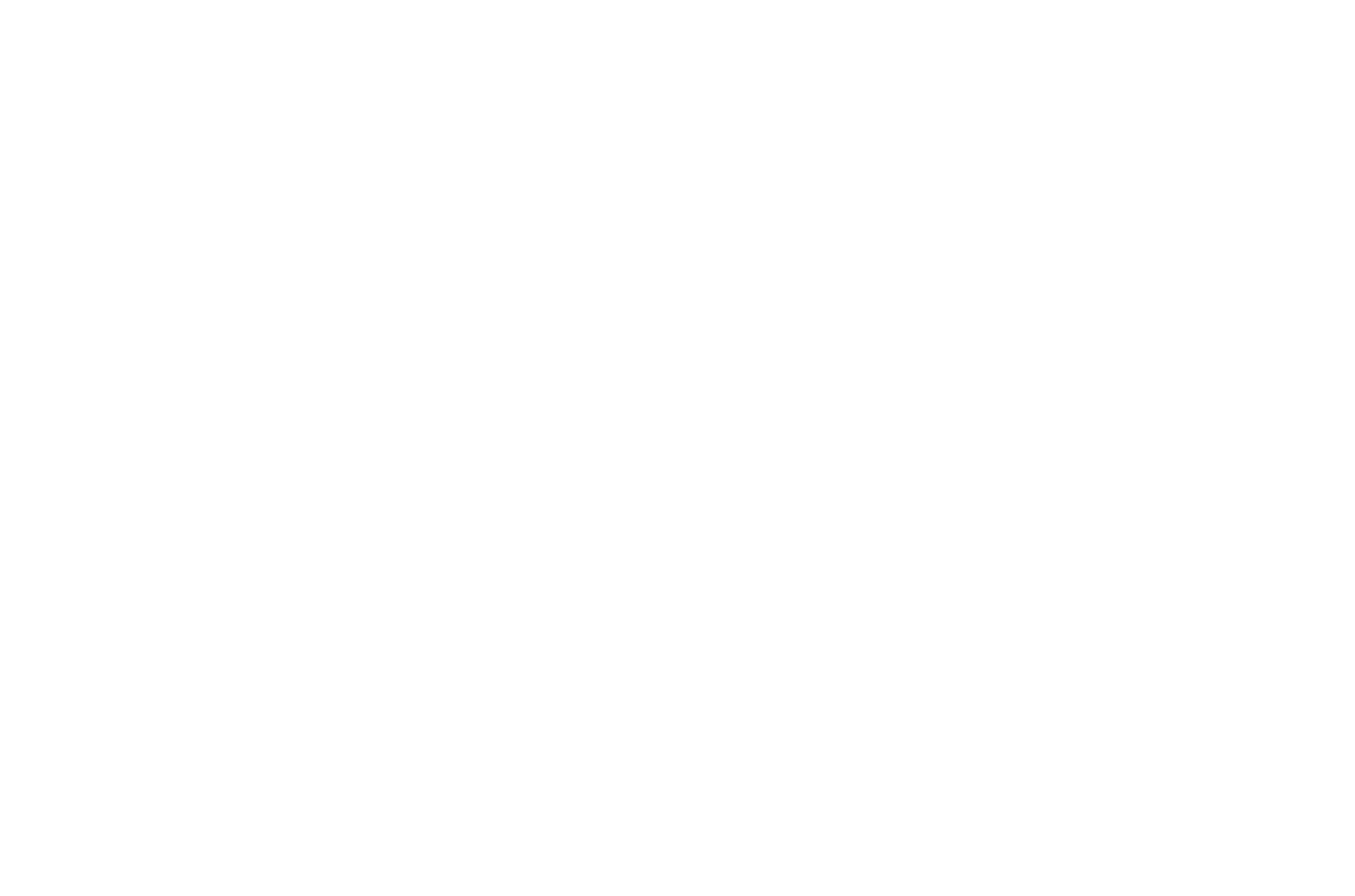 Transparent Logo White